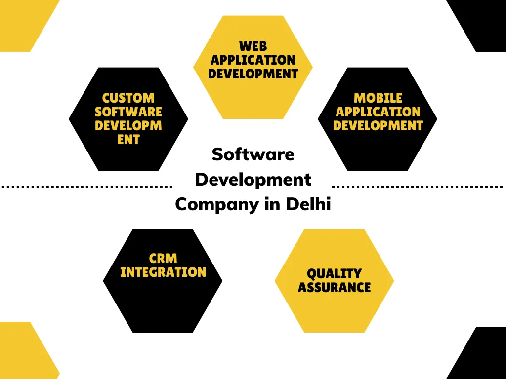 Software Development Company in Delhi